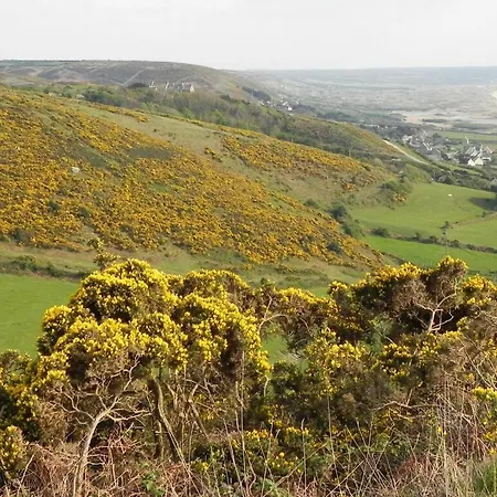 Les Tamaris 4 étoiles Villa *
