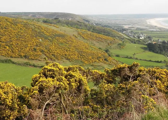 Les Tamaris 4 Etoiles וילה *